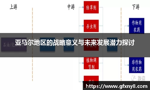 亚马尔地区的战略意义与未来发展潜力探讨