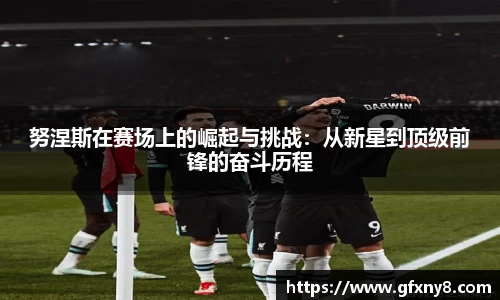 努涅斯在赛场上的崛起与挑战：从新星到顶级前锋的奋斗历程