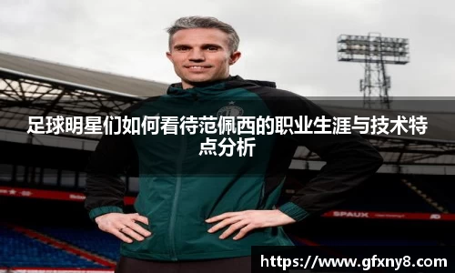足球明星们如何看待范佩西的职业生涯与技术特点分析