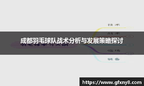 成都羽毛球队战术分析与发展策略探讨